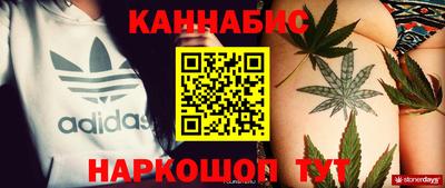 прущие крисы Новодвинск