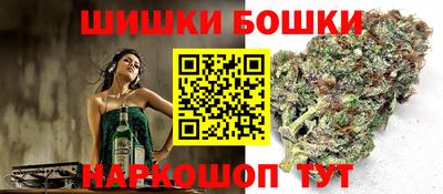 прущие крисы Новодвинск
