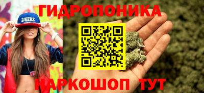 прущие крисы Новодвинск