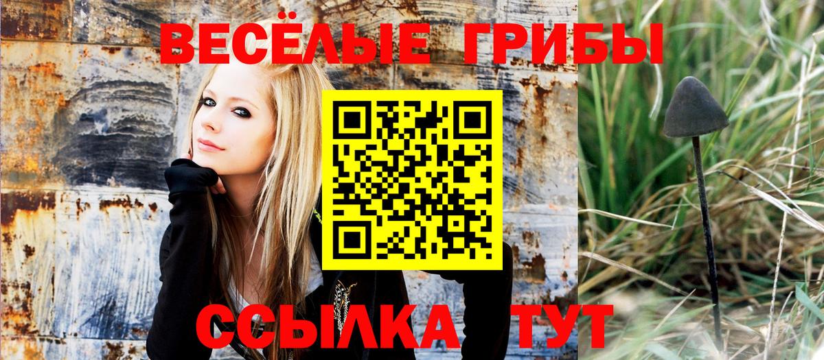 Псилоцибиновые грибы мицелий Тобольск